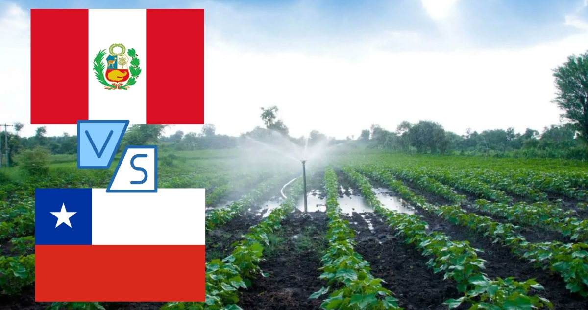 Perú y Chile como modelos de agroexportación.