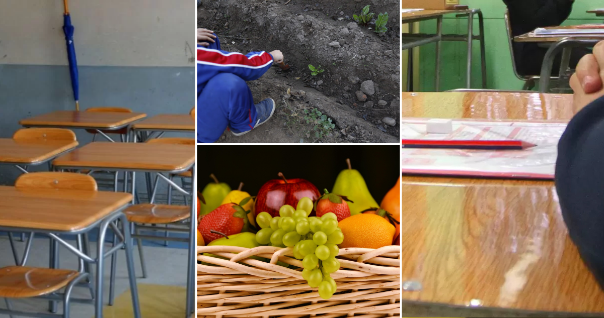 Colegio mejoró puntaje SIMCE eliminando comida chatarra: ¿Cómo lo hicieron?