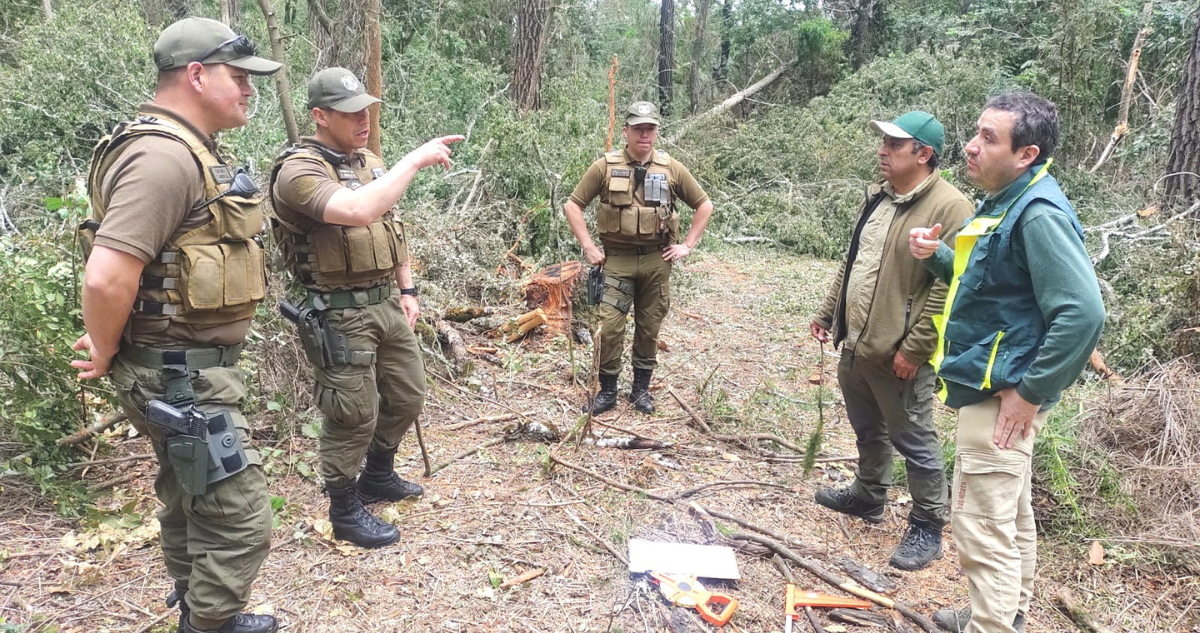https://media.biobiochile.cl/wp-content/uploads/2025/11/presentan-querella-contra-los-que-resulten-responsables-de-la-tala-arboles-en-parque-nacional-nonguen.png