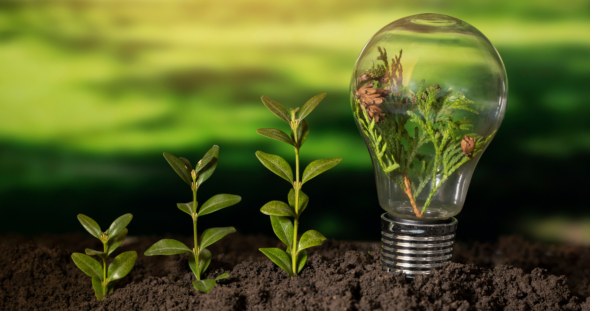 Hasta $17 millones: así es el programa Semilla Inicia que ayuda a financiar proyectos de emprendedores