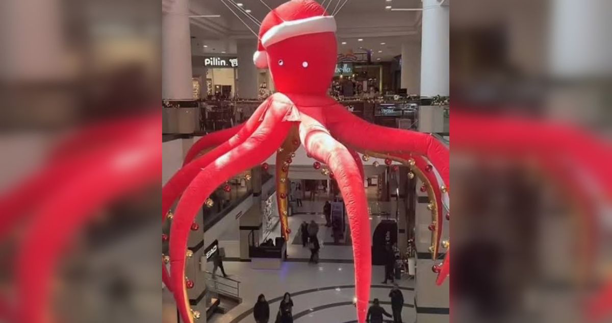 Vuelven a instalar al criticado pulpo que destronó árbol navideño en Pto. Montt tras “ola de apoyo”