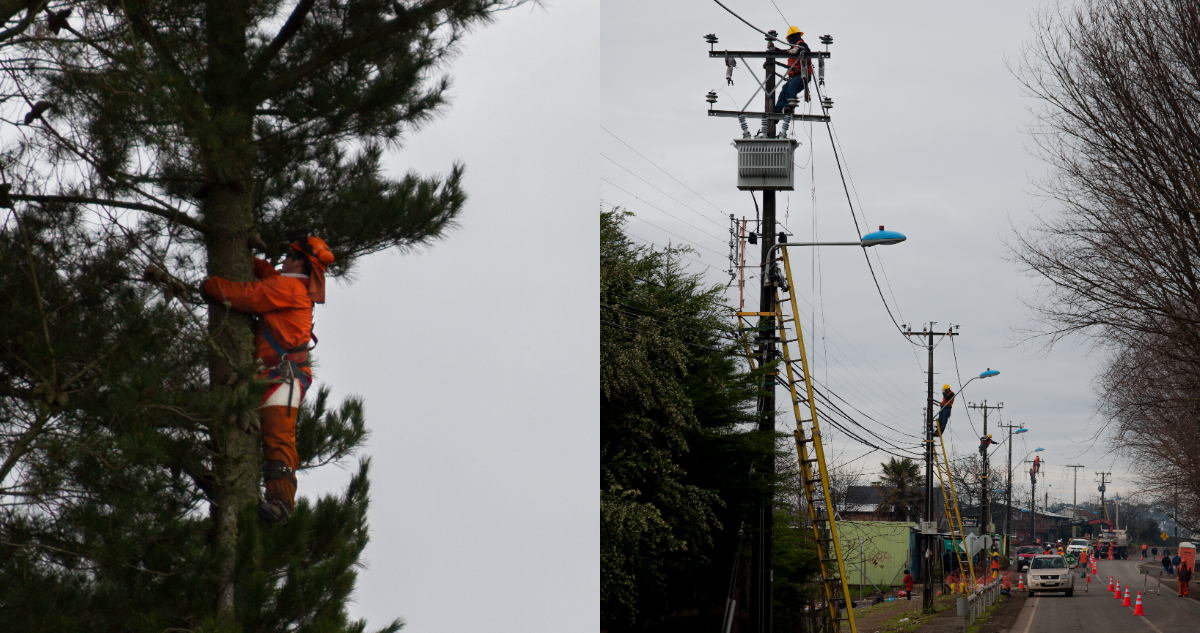 Grupo Saesa ejecuta plan de mantención de la red eléctrica para evitar cortes del servicio en verano