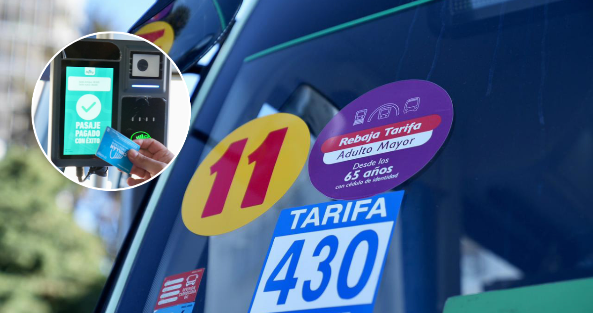 Región de Los Lagos: Ministerio de Transportes abre oferta para proyecto de pago electrónico en buses