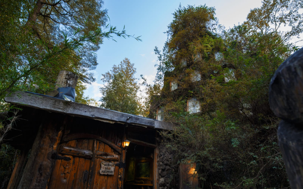 La naturaleza indómita de Huilo Huilo