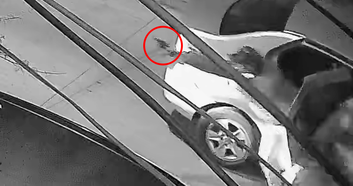 Con 16 puntos en la cabeza termina víctima de robo en Conchalí: fue golpeado por delincuentes