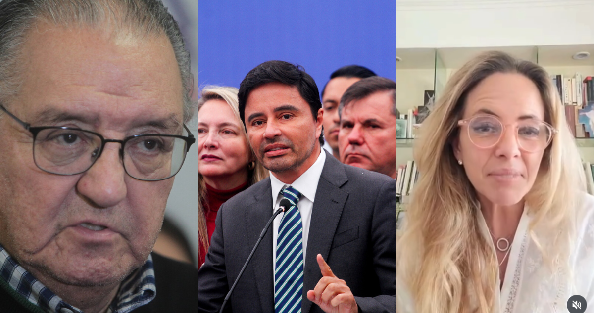 Carter, Kaiser y Huenchumilla: los tres senadores electos en La Araucanía según proyección Bío Bío