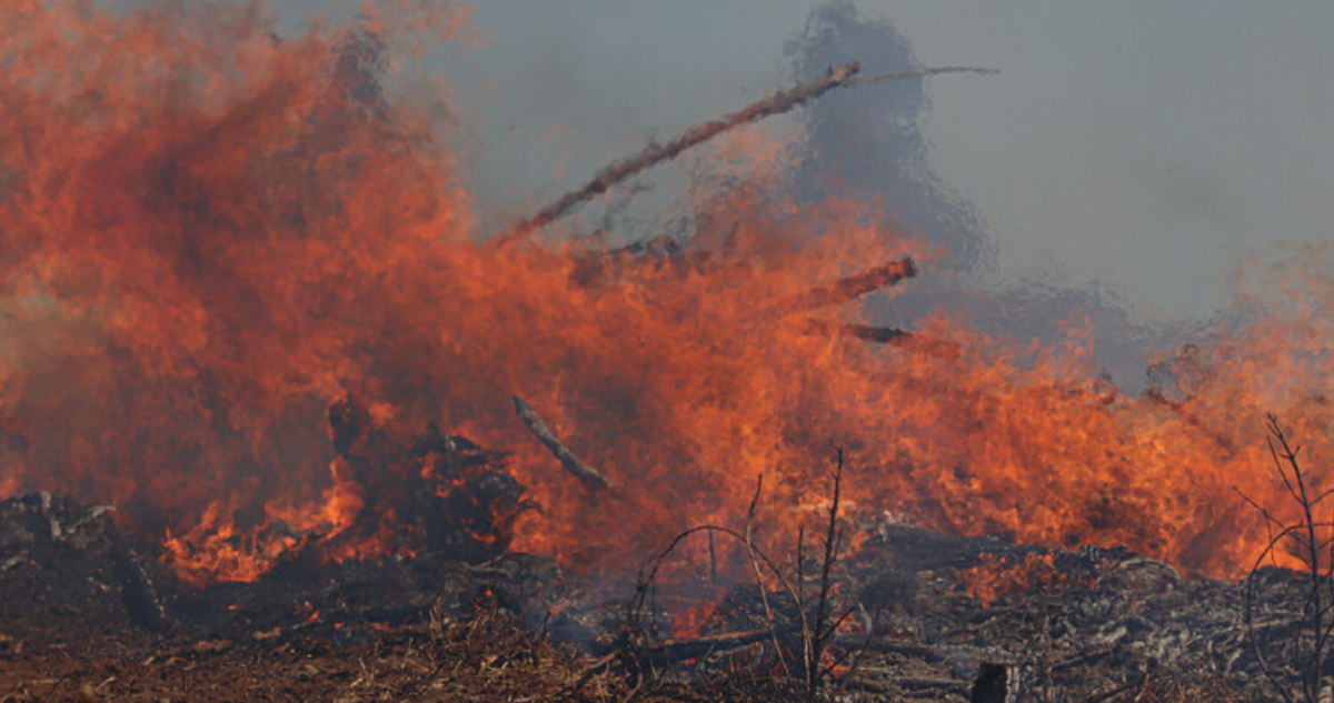 Senapred cancela alerta roja en Tiltil por incendio forestal que afecta a cerca de 10 hectáreas