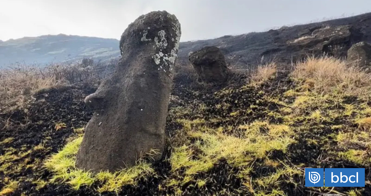 Decretan Alerta Roja en Isla de Pascua por incendio forestal cercano a área protegida
