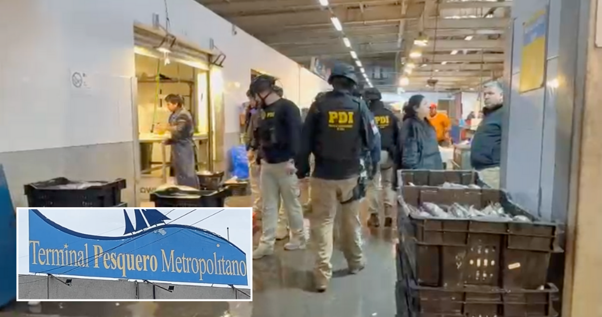 Masivo operativo en Terminal Pesquero Metropolitano: hay 20 detenidos por robo de salmones
