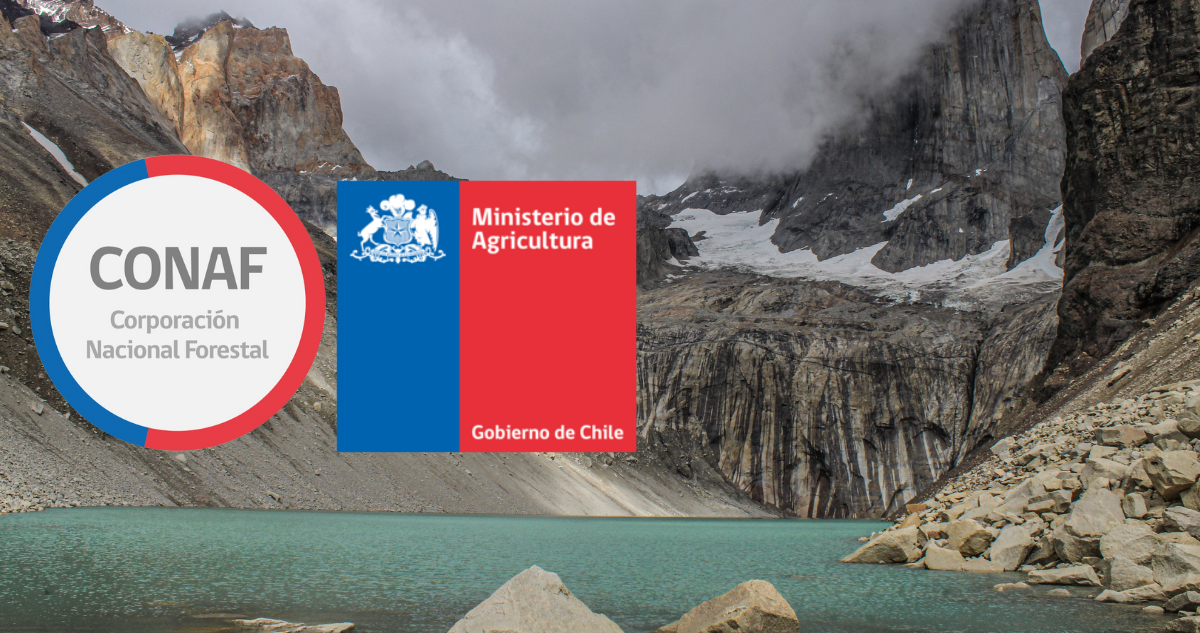 Tragedia Torres del Paine