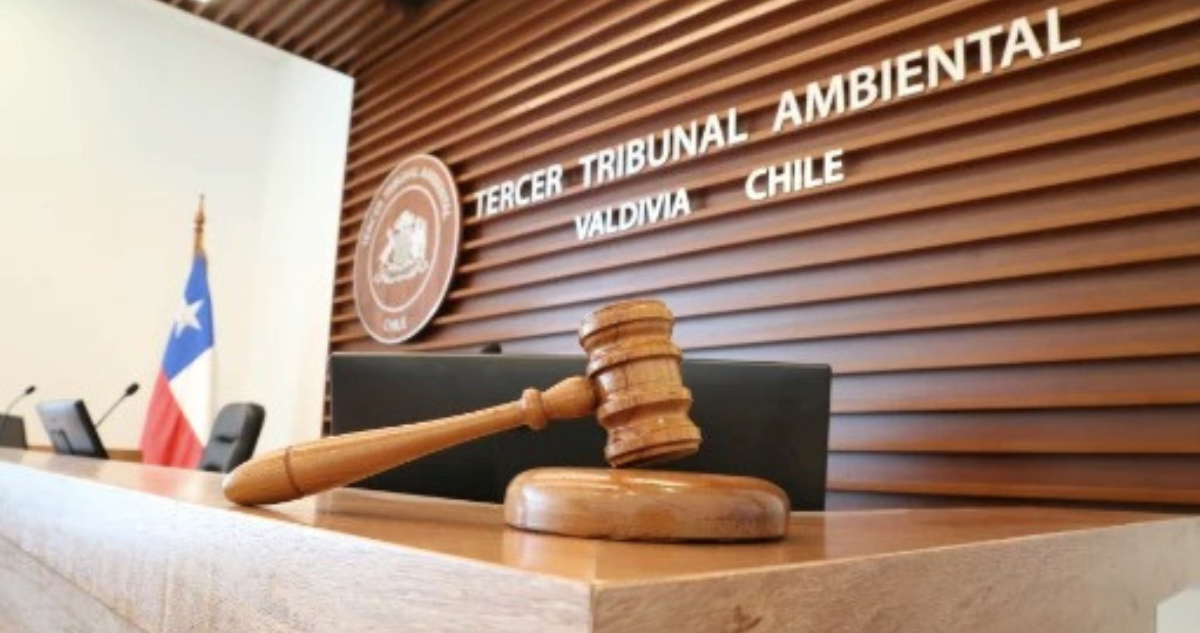 Tribunal Ambiental de Valdivia anuló Ordenanza Municipal de Humedales Rurales de Panguipulli