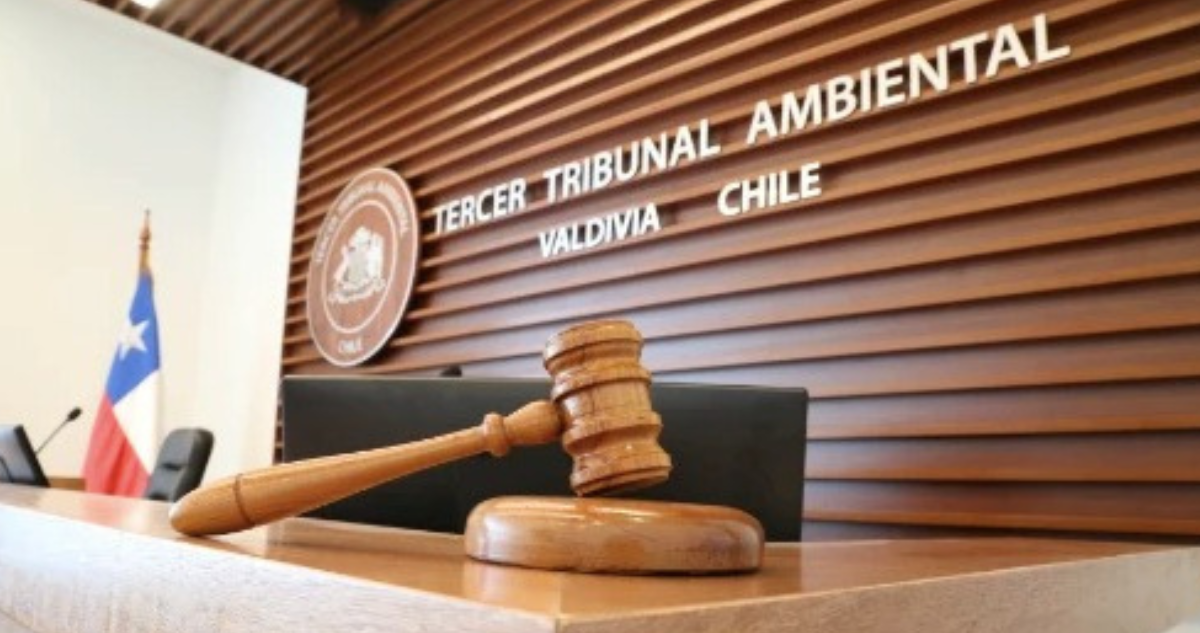 Tribunal Ambiental de Valdivia ordena paralizar faenas de proyecto de piscicultura en río San Pedro