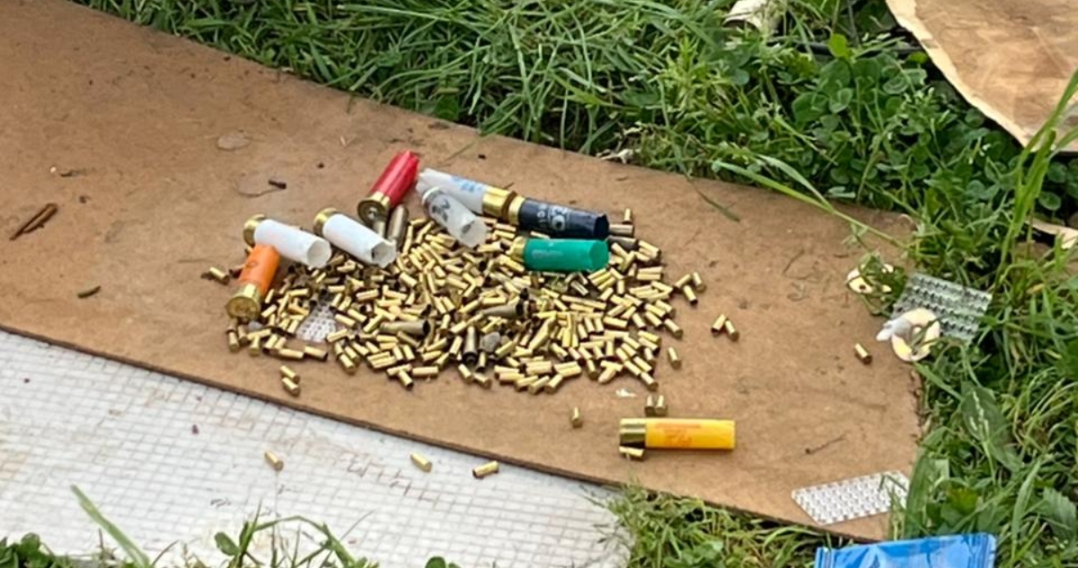 Vainillas percutadas en Osorno