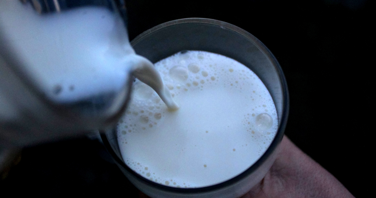 Fedeleche critica falta de regulación en el etiquetado de productos lácteos