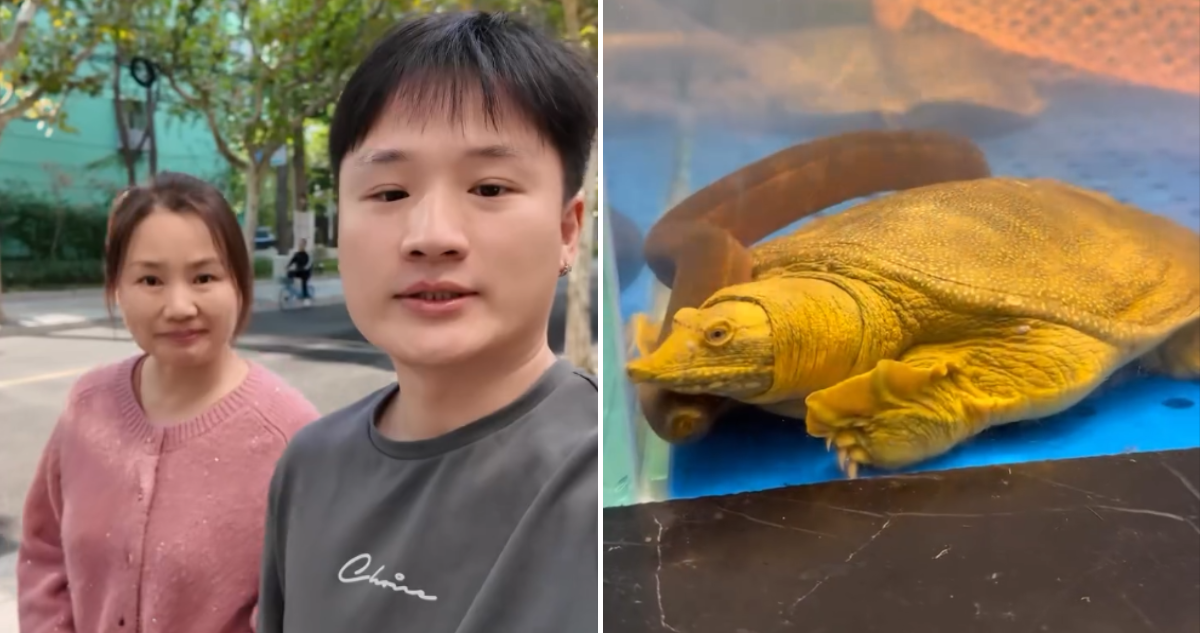 Yuhui Lee junto a su madre y captura de tortuga por polémico video