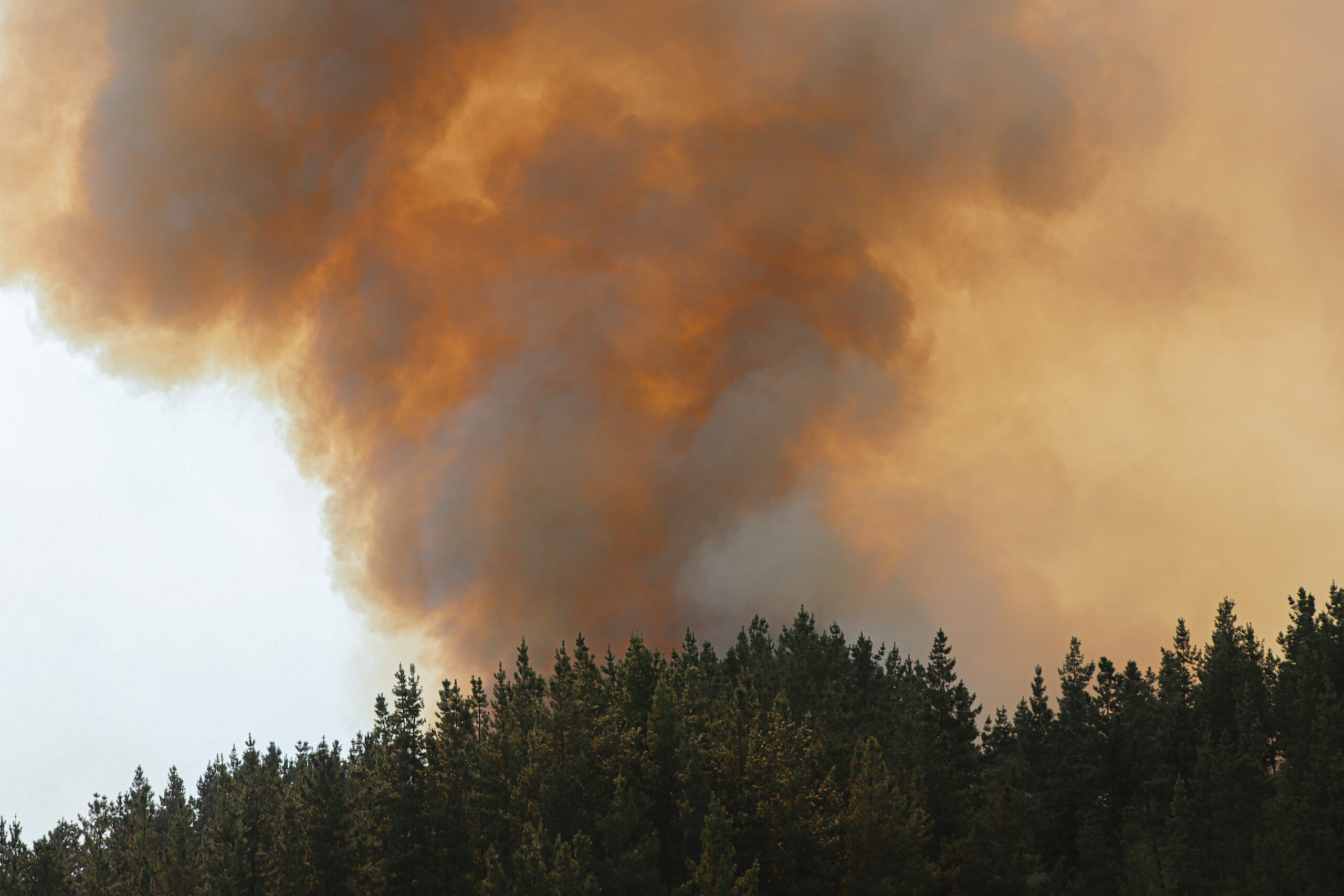 MOP confirmó 99% de avance en tres puntos de posada para combatir incendios forestales en Los Ángeles