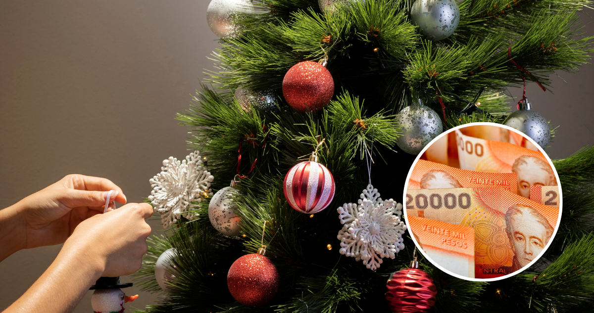 ¿Eres pensionado? Revisa con tu RUN la fecha de pago del aguinaldo de Navidad o si ya lo recibiste