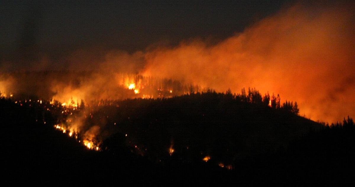 Alerta Roja en Litueche por incendio forestal: Senapred ordena evacuar Pueblo Hundido y El Naranjal