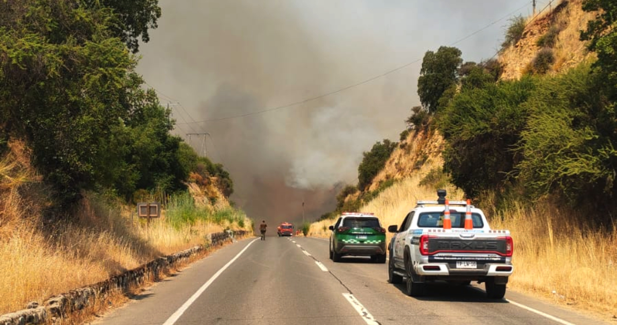 Alerta Roja en Litueche por incendio forestal: tres viviendas consumidas y un bombero lesionado