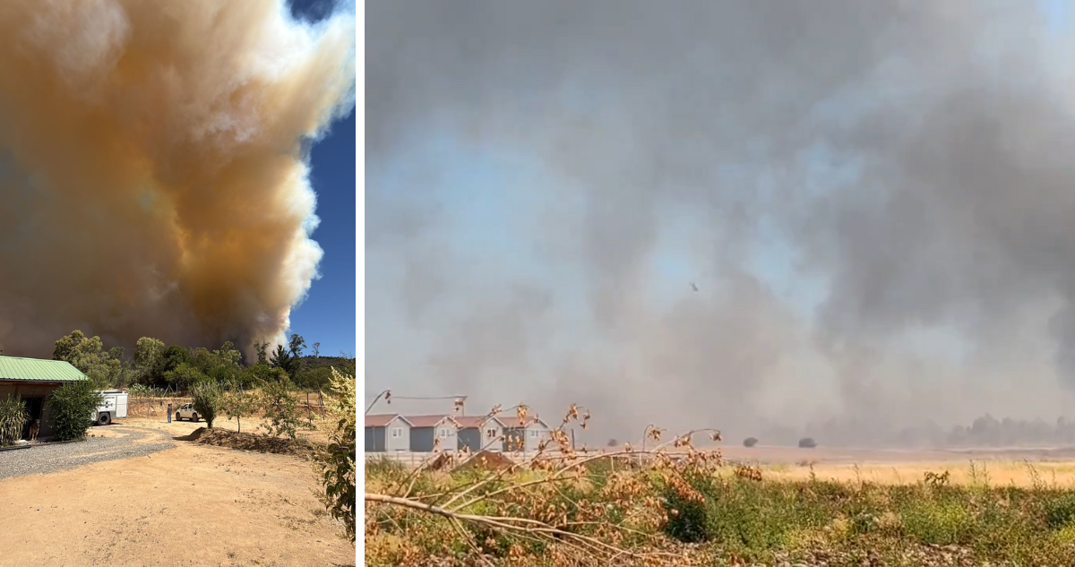 Alerta Roja para la comuna de Maule por incendio forestal: se acercaría a zonas habitadas