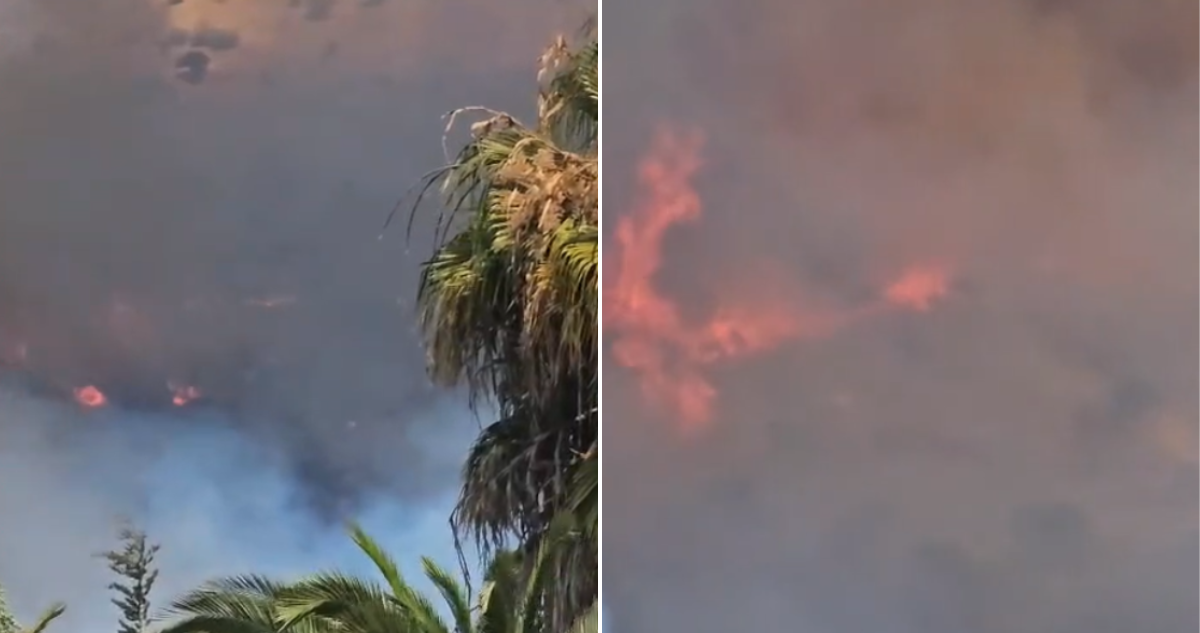 Alerta roja y evacuación por alerta SAE debido a incendio forestal en Pichidegua