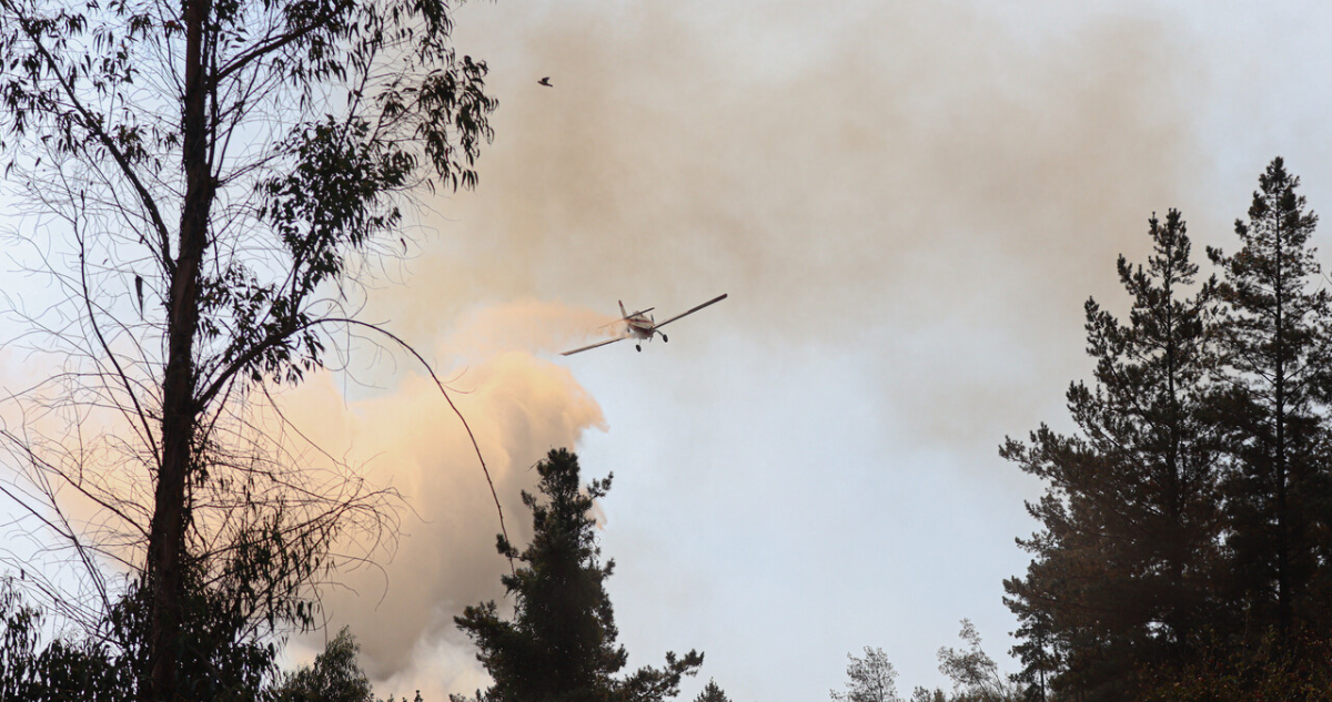 Balance por incendios forestales: dos activos, tres en combate y seis siniestros controlados