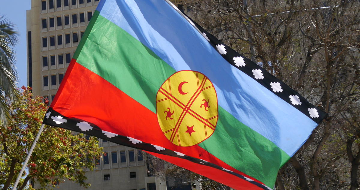 https://media.biobiochile.cl/wp-content/uploads/2025/12/bandera-mapuche.png