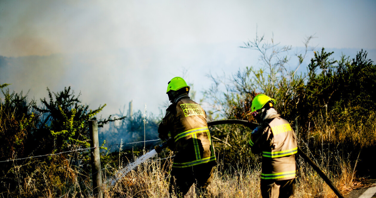 Cancelan Alerta Roja en Litueche por incendio forestal: Más de 800 personas debieron evacuar