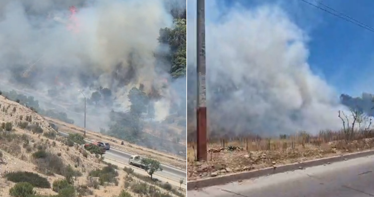 Declaran Alerta Roja para La Serena por incendio forestal y Senapred ordena evacuar un sector