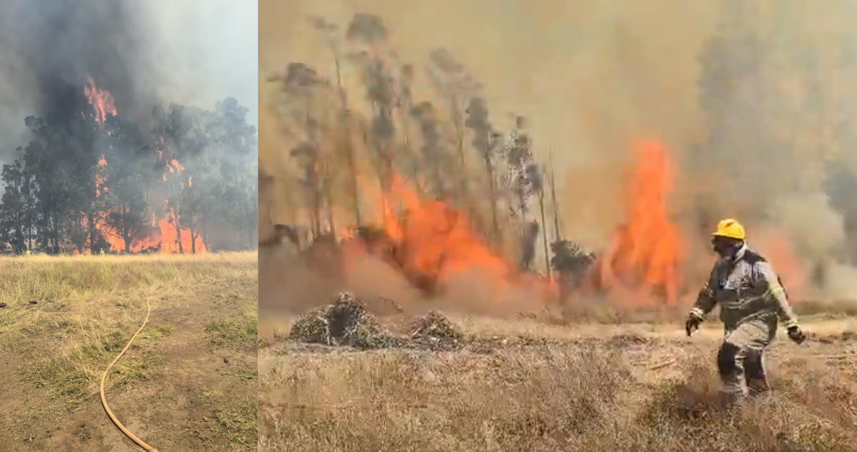 https://media.biobiochile.cl/wp-content/uploads/2025/12/captura-rrss-por-incendio-forestal-pichilemu.png