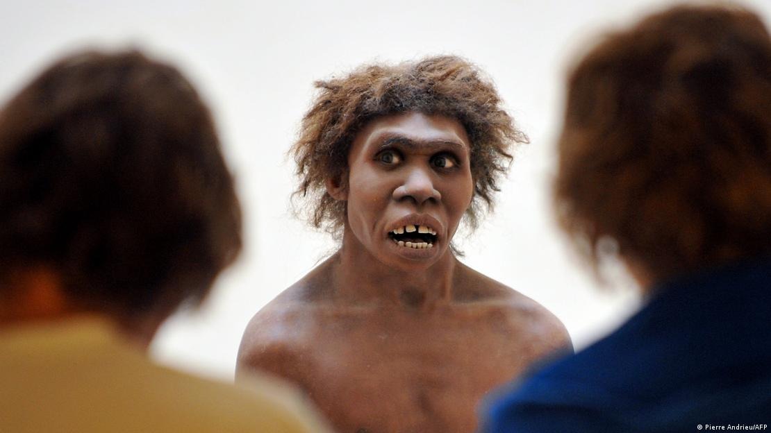 Así sería el rostro de un Homo erectus según una recreación virtual: vivió hace 1,5 millones de años