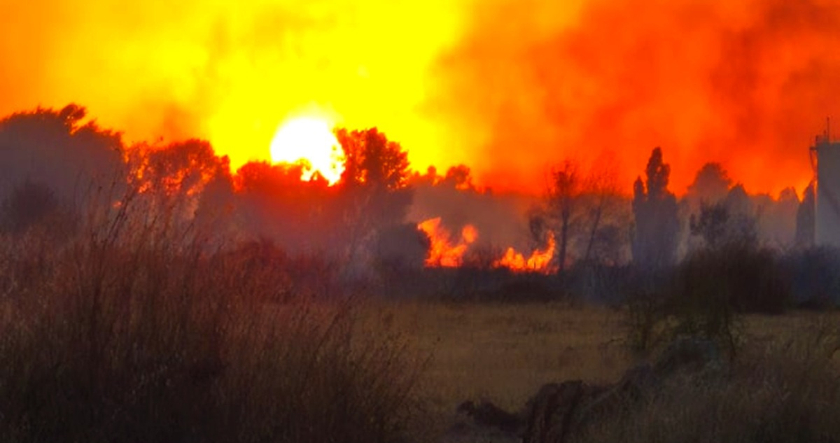 Detenidos por incendio en Chillán Viejo pasarán mañana a control de detención: 100 hectáreas arrasadas