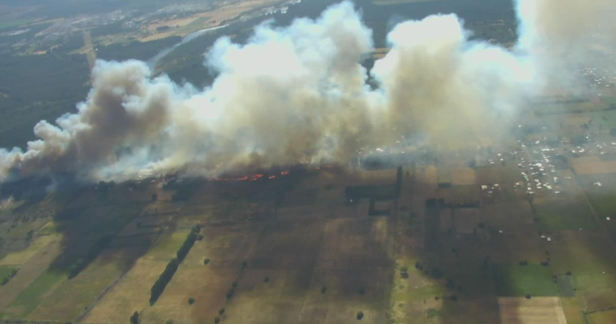 Amenaza inminente a 10 viviendas: Ordenan evacuar sector en Los Ángeles por incendio forestal