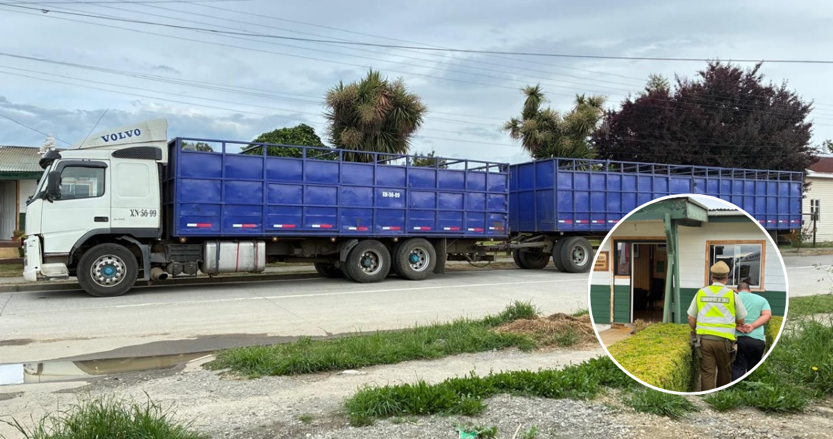 Detienen a conductor que trasladaba 50 vacunos desde predio en cuarentena y reivindicación territorial
