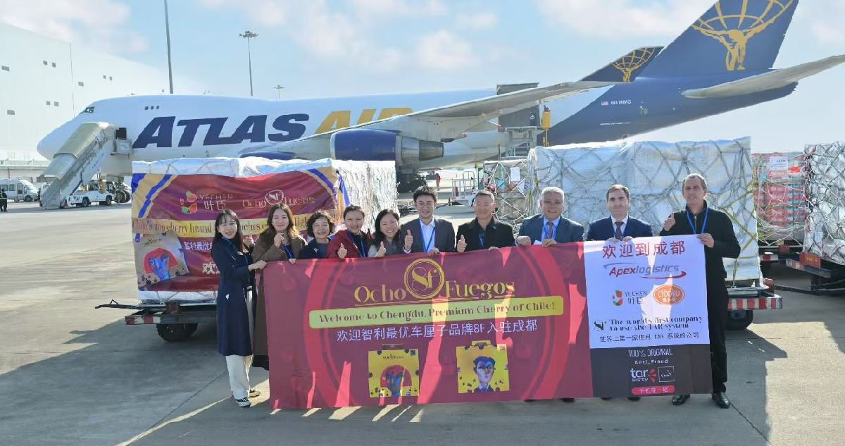 Avanza la temporada de cerezas chilenas y destacan carga hacia China con sistema “anti-adulteración”