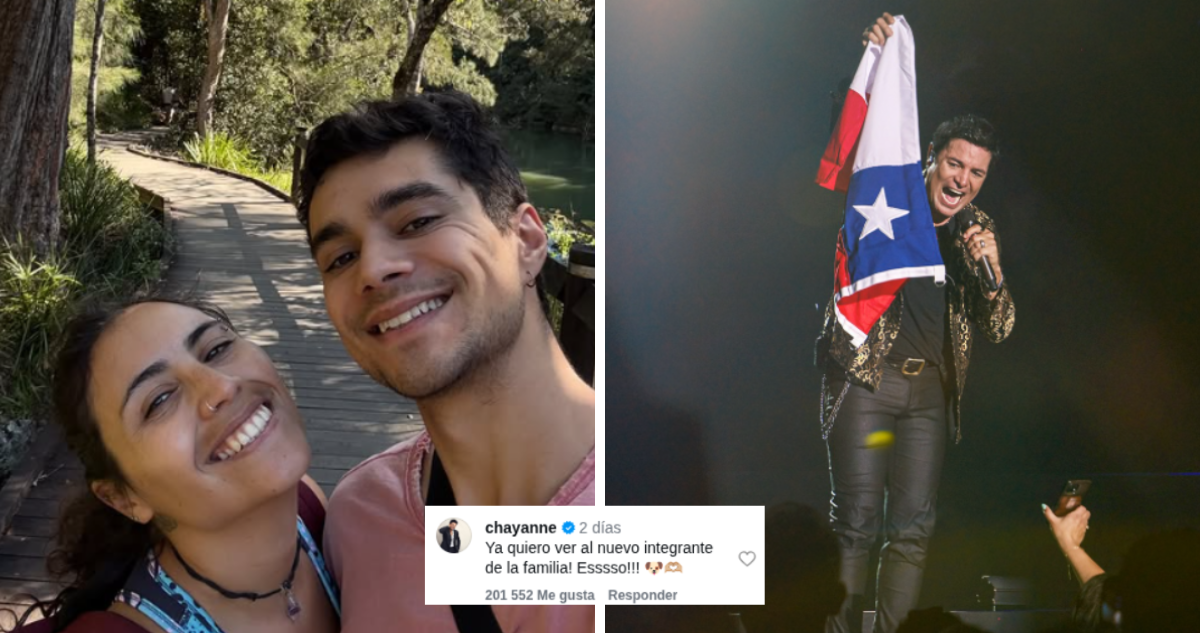 “Aprobado por Chayanne”: chilenos en Australia adoptarán perrito gracias al comentario del cantante