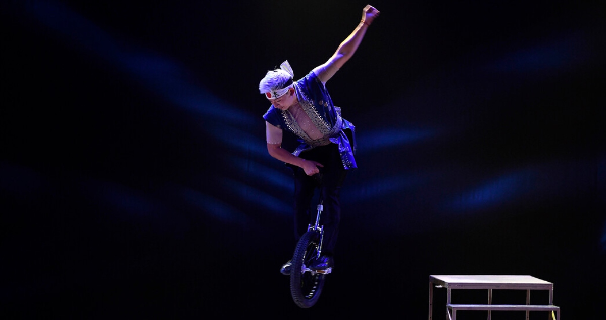 Circo tradicional chileno es candidato a convertirse en Patrimonio de la Humanidad: días decisivos