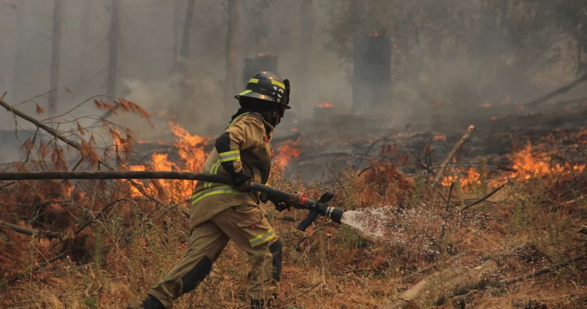 Con nueva estrategia: aumenta a más del doble los recursos para el combate de incendios