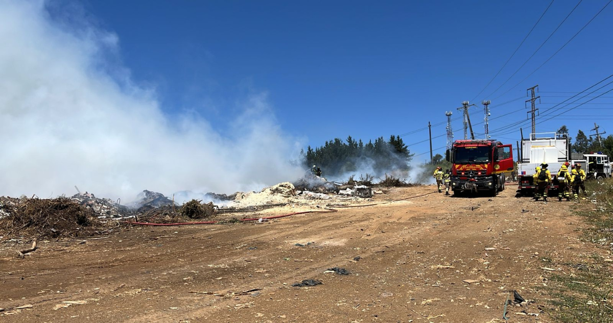 Bomberos combaten incendio forestal en Lota: fuego acecha cementerio municipal
