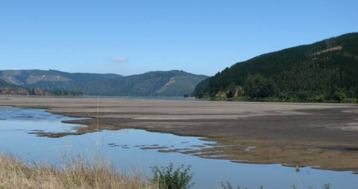 Preocupación por bajo caudal del Río Bío Bío: pocas precipitaciones durante 2025 sería la causa