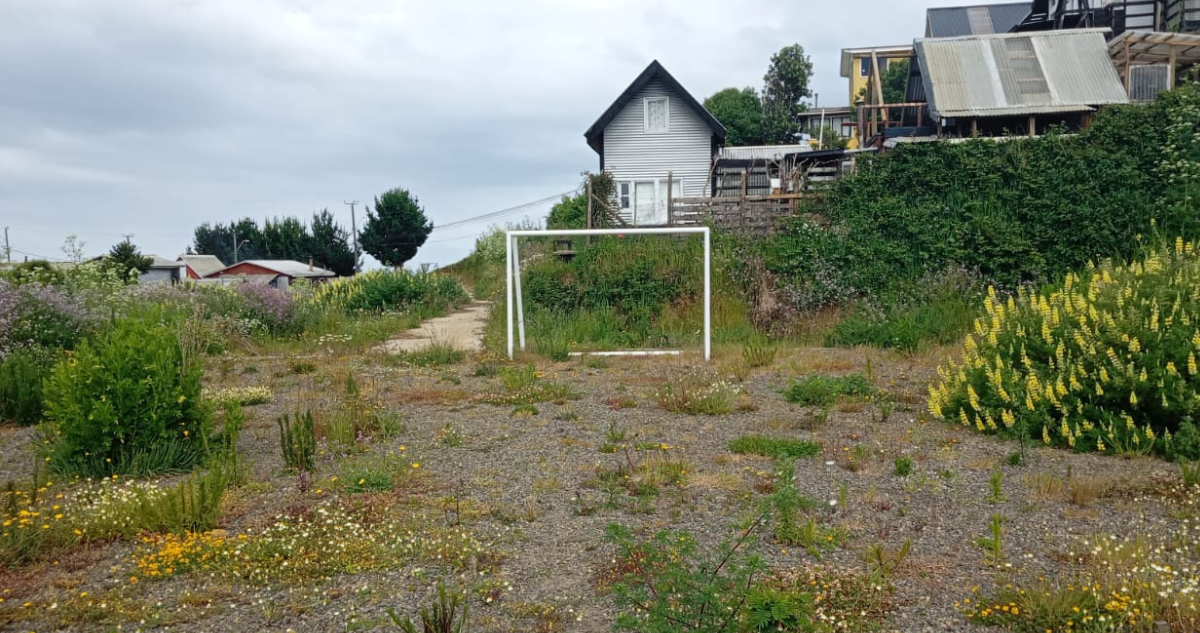 Vecinos denuncian abandono de obras para construir cancha en Saavedra: proyecto costó $86 millones