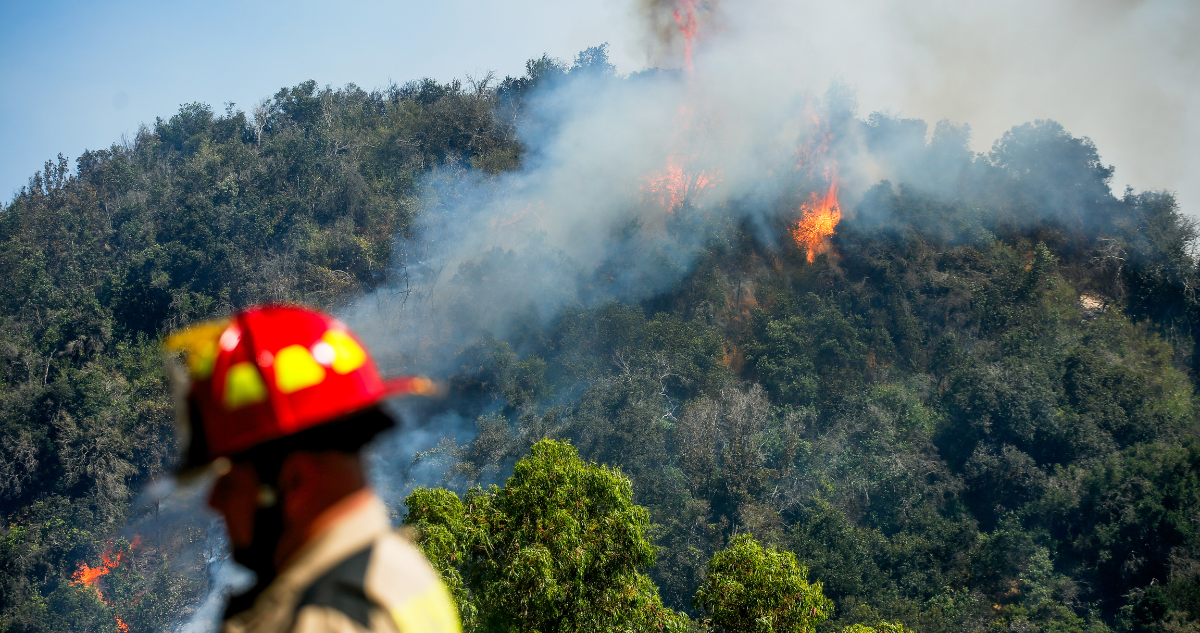“Botón Rojo” en La Araucanía: 11 comunas de La Araucanía en “alerta” por incendios forestales