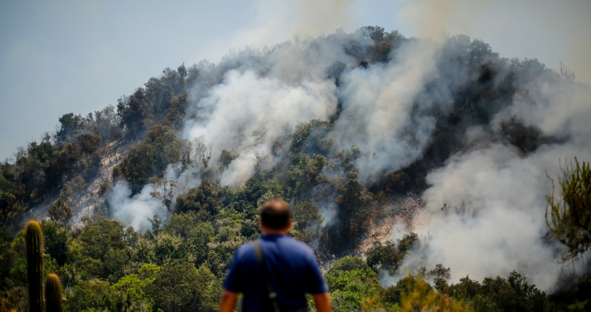 Declaran Alerta Roja para la comuna de Machalí por incendio forestal: fuego amenaza a reserva nacional