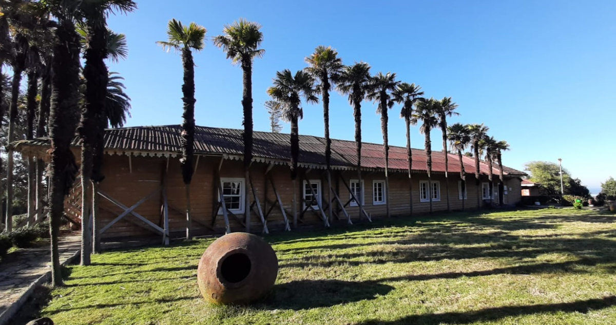 Acusan traslado sin permiso de piezas desde museo Pedro del Río Zañartu al GORE Bío Bío