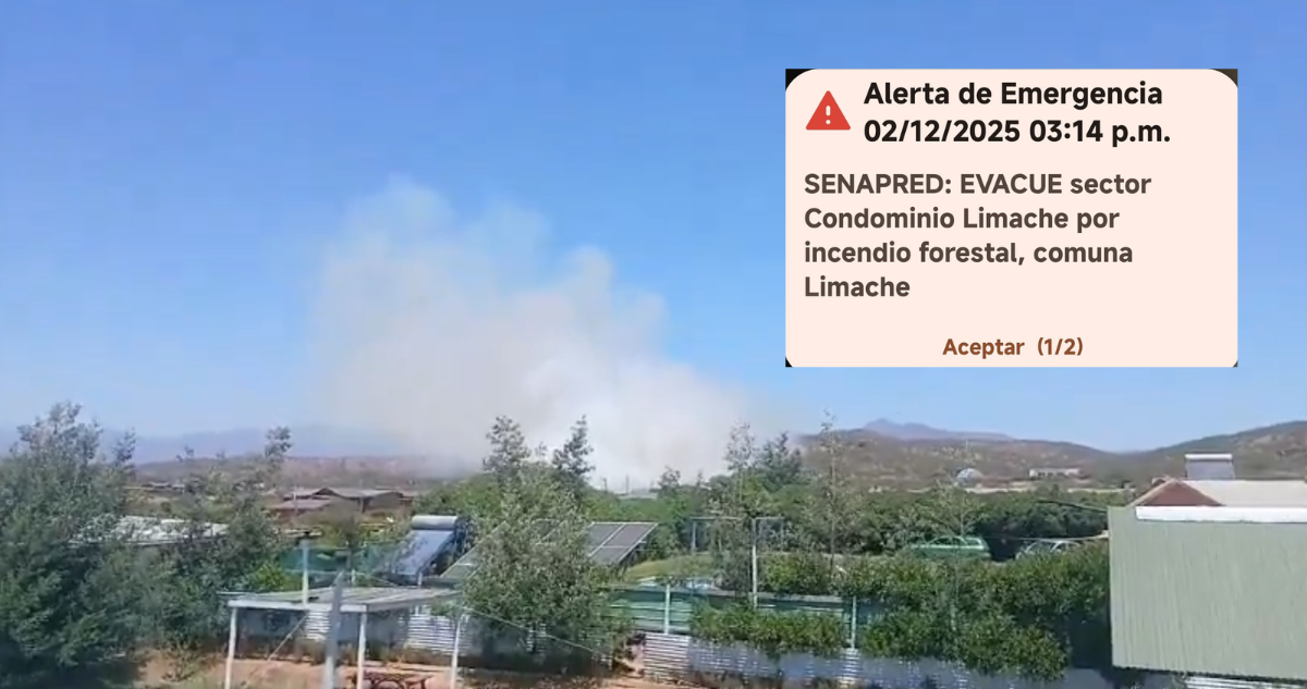 Senapred ordena evacuar sectores de Limache por incendio forestal