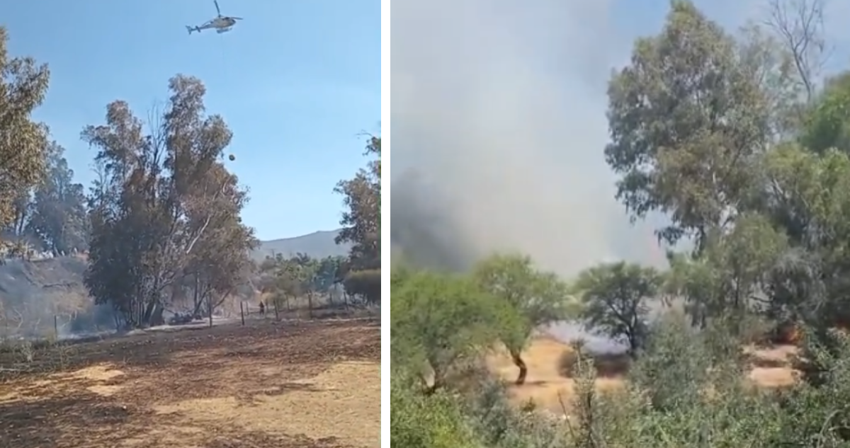 Senapred ordena evacuar sector de Santo Domingo por incendio forestal: declararon Alerta Roja