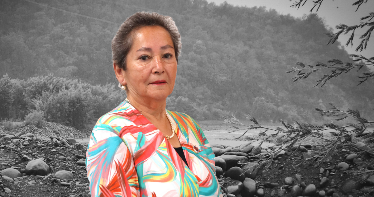 Fiscal dice que entre hipótesis por desaparición de concejala en Villa Alegre incluye una caída al río