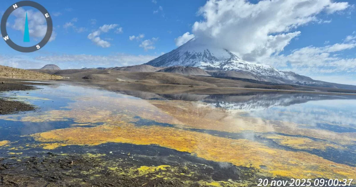 Derrame en Lago Chungará: más de 7 mil litros de aceite extraído y sube reporte de aves fallecidas