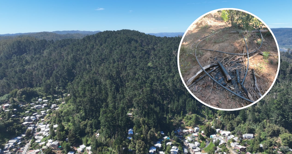 Parque Metropolitano Cerro Caracol permanece cerrado hasta nuevo aviso por riesgo de incendios