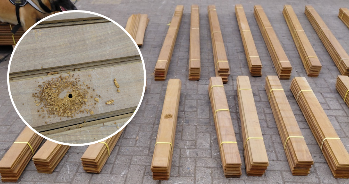 Histórico operativo: Incautan 19,5 toneladas de madera impregnada con clorhidrato de cocaína en Arica